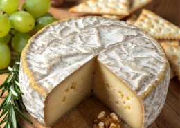 formaggio-vegan-mina-formisano-yoga-busto