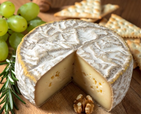 formaggio-vegan-mina-formisano-yoga-busto