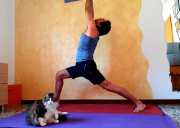 praticare a casai-yoga busto-kriyayogaevolution-mina formisano-fulvio falsanito-yoga a casa